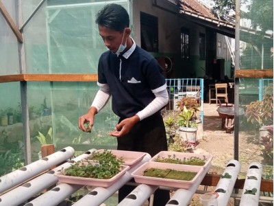 Green House SDN Pandan