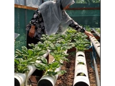 Green House SDN Pandan