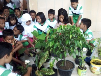 Siswa  SDN Pandan Menanam 